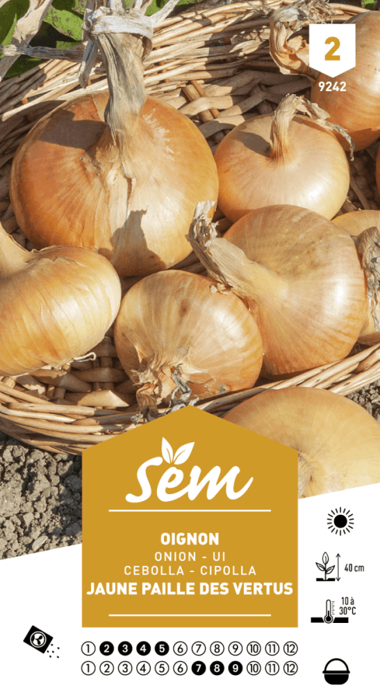 Oignon Jaune Paille Des Vertus 14/21 250g - BERNARD - Gamm Vert