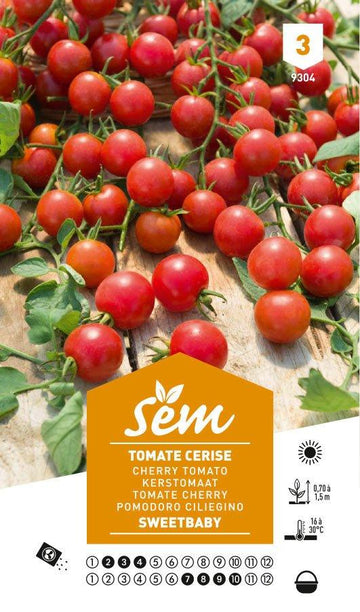 Graines de Tomate Cerise Sweetbaby
