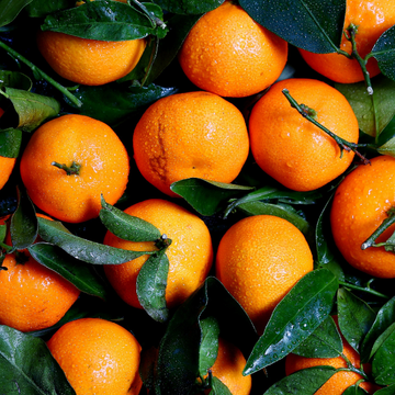 Mandarinier - Citrus nobilis