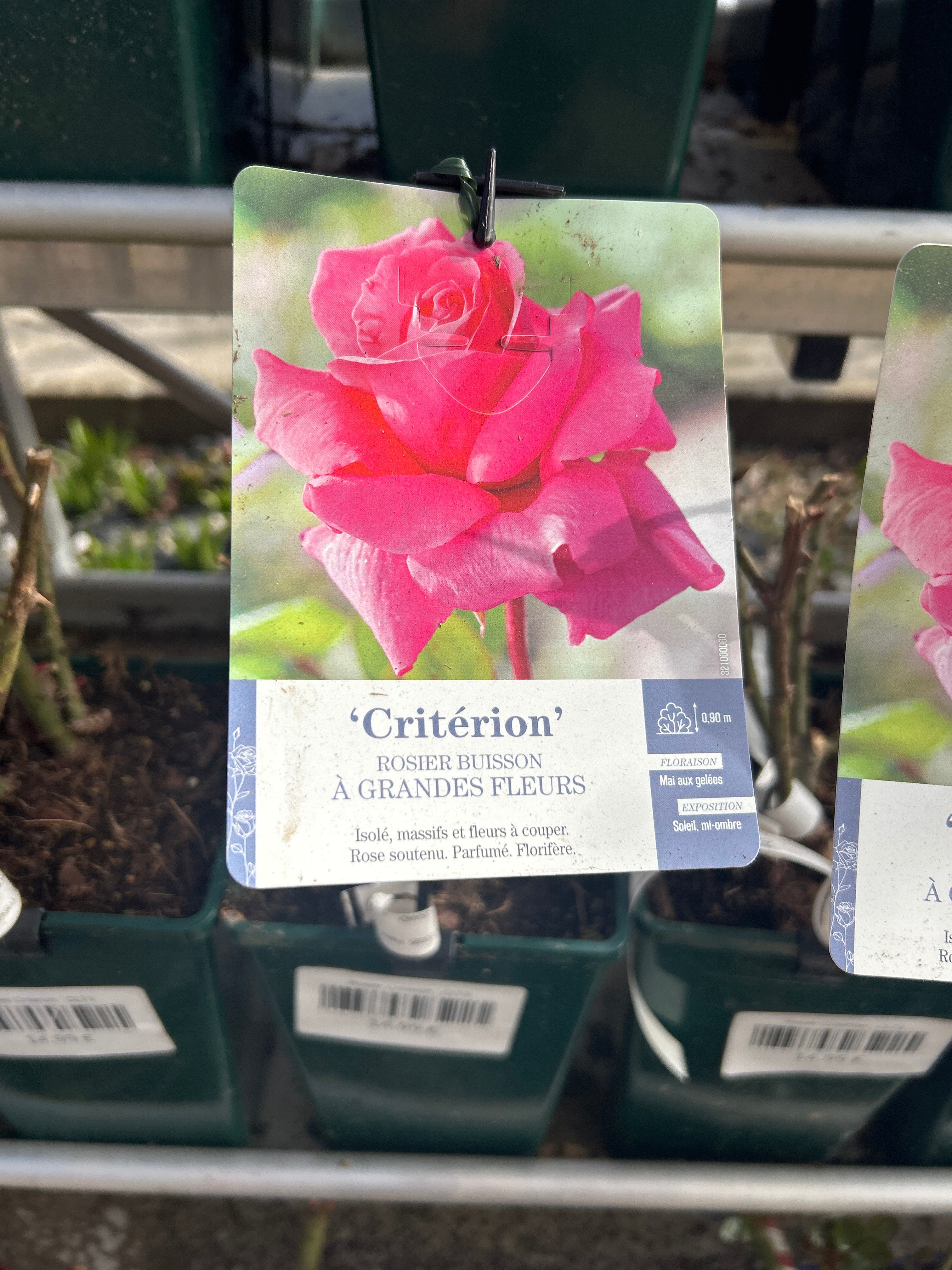 Rosier Criterion