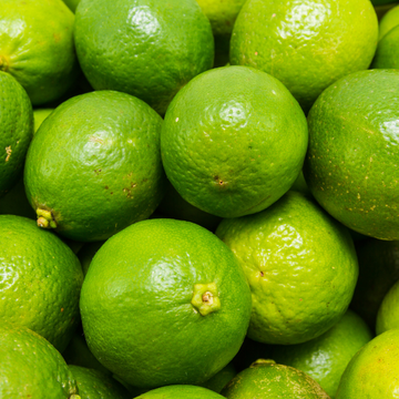 Citronnier Vert - Citrus Lime