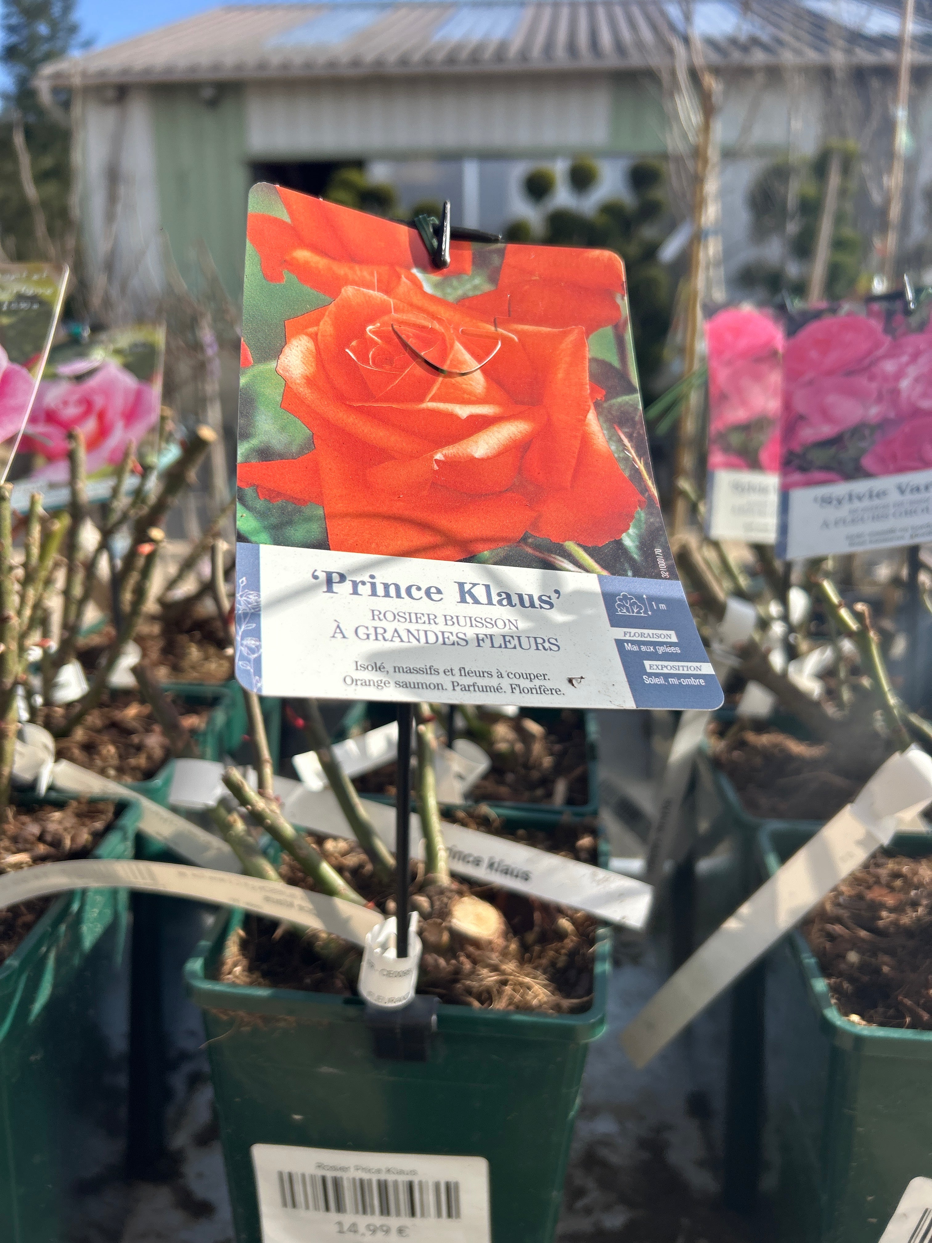 Rosier Price Klaus