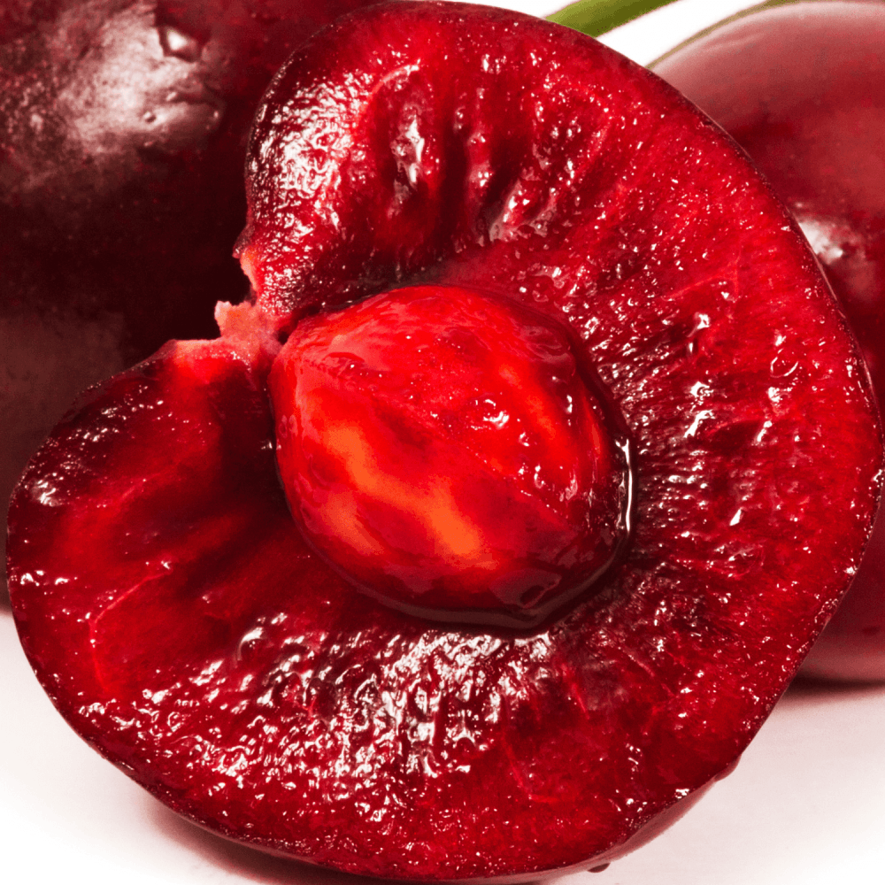 Cerisier 'Bigarreau Reverchon' - Prunus avium 'Bigarreau Reverchon' - FLEURANDIE