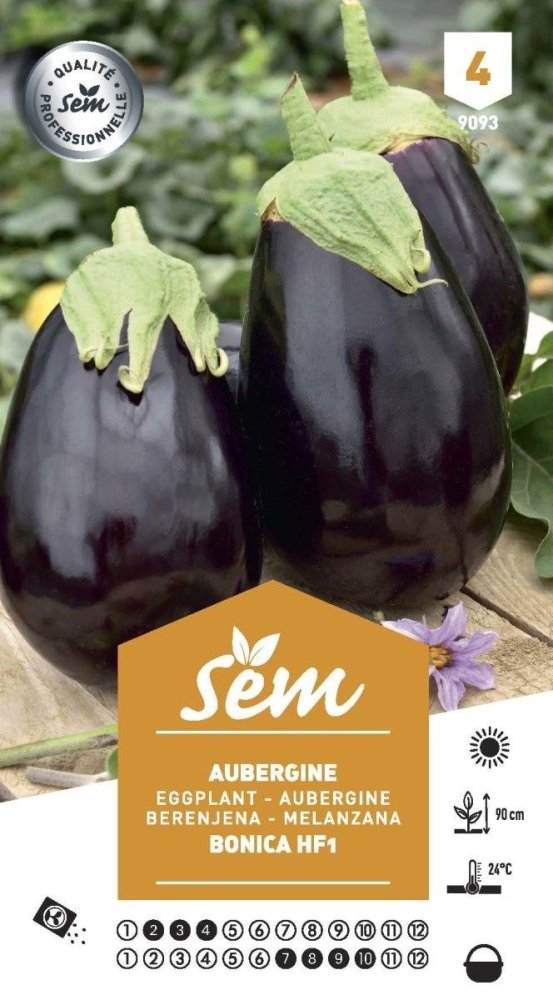 Graines de Aubergine Bonica Hf1 - FLEURANDIE