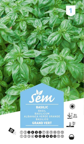 Graines de Basilic Grand Vert - FLEURANDIE