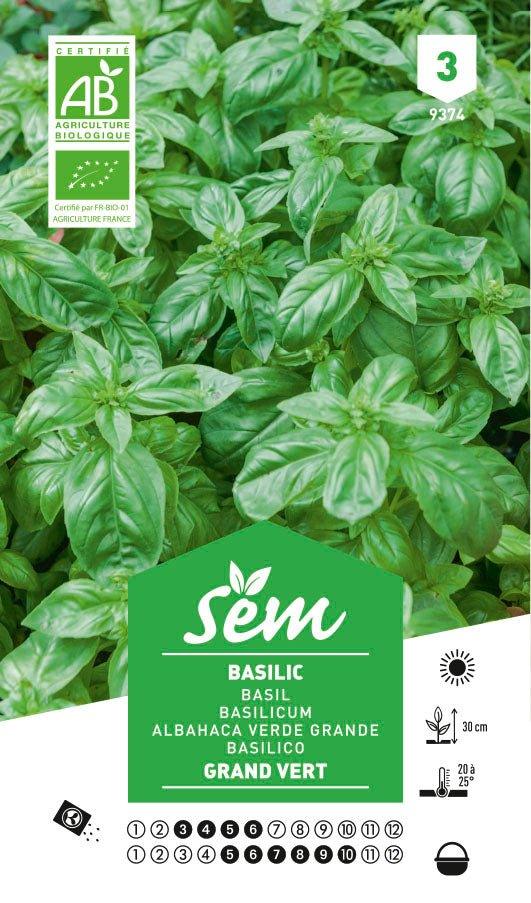 Graines de Basilic Grand Vert BIO - FLEURANDIE