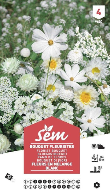 Graines de Bouquet fleuriste blanc XXL