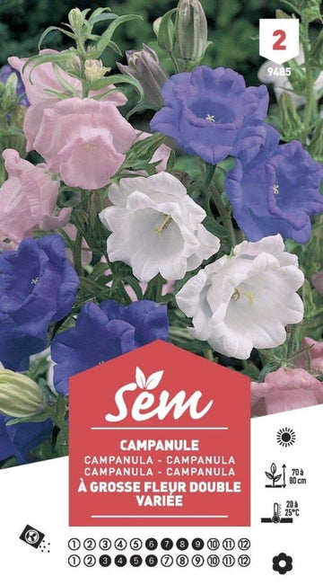 Graines de Campanule À Grosse Fleur Double Variée - FLEURANDIE