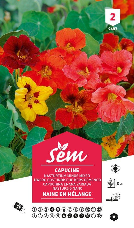 Graines de Capucine Naine En Mélange - FLEURANDIE