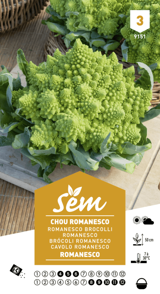 Graines de Chou Romanesco - FLEURANDIE