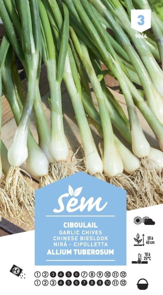 Graines de Ciboulail Allium Tuberosum - FLEURANDIE