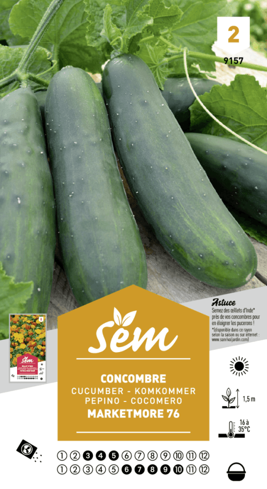 Graines de Concombre Marketmore 76 - FLEURANDIE