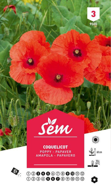 Graines de Coquelicot - FLEURANDIE