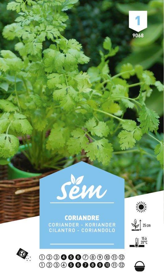 Graines de Coriandre - FLEURANDIE