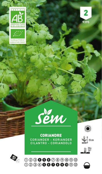Graines de Coriandre BIO