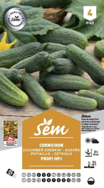 Graines de Cornichon Profi Hf1