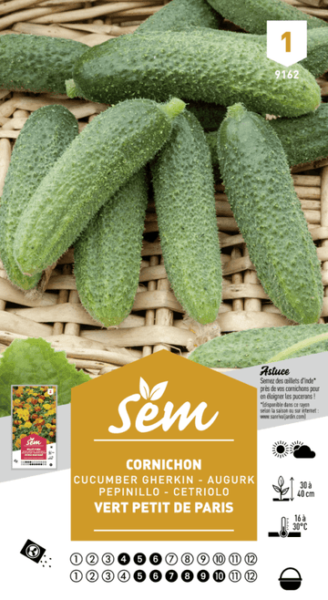 Graines de Cornichon Vert Petit De Paris