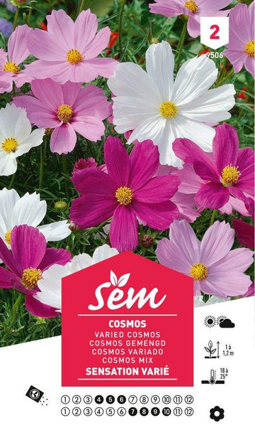 Graines de Cosmos Sensation Varié - FLEURANDIE