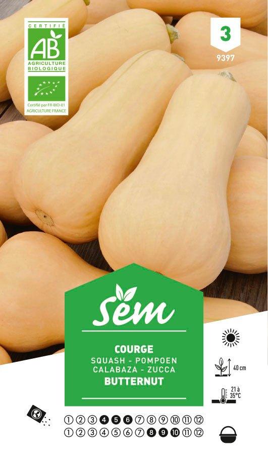 Graines de Courge Butternut BIO - FLEURANDIE