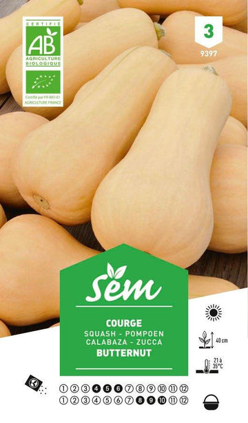 Graines de Courge Butternut BIO