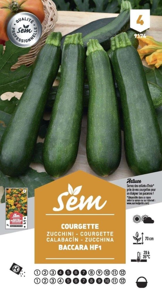 Graines de Courgette Baccara Hf1 - FLEURANDIE