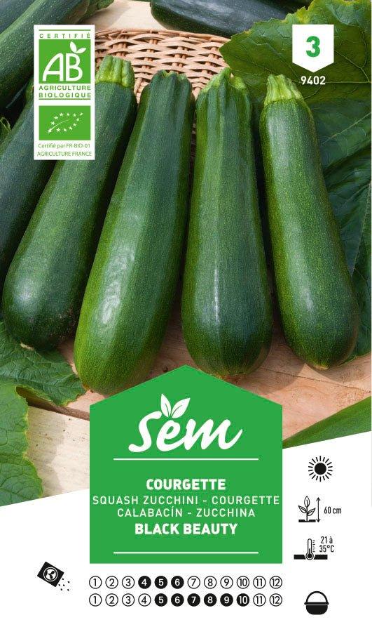 Graines de Courgette Black Beauty BIO - FLEURANDIE