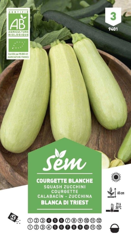 Graines de Courgette Blanche Blanca Di Triest BIO - FLEURANDIE