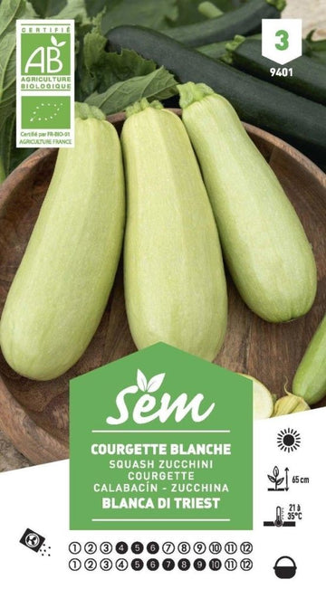 Graines de Courgette Blanche Blanca Di Triest BIO