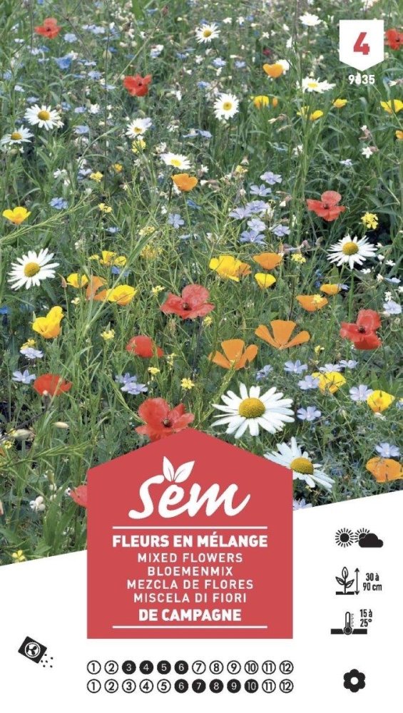 Graines de Fleurs en mélange de campagne XXL - FLEURANDIE