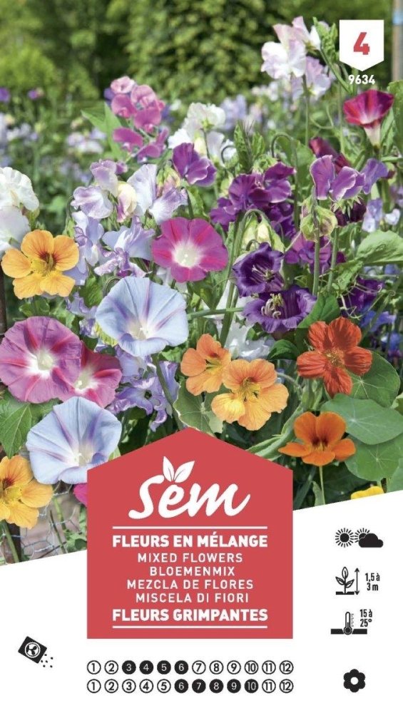 Graines de Fleurs en mélange grimpantes XXL - FLEURANDIE