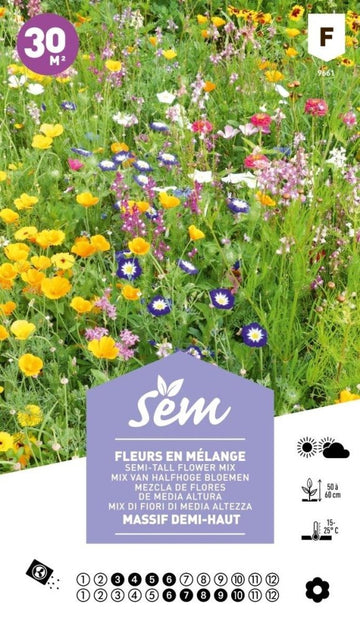 Graines de fleurs en mélange (massif demi-haut)