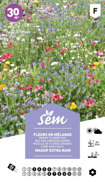 Graines de fleurs en mélange massif (extra nain) - FLEURANDIE