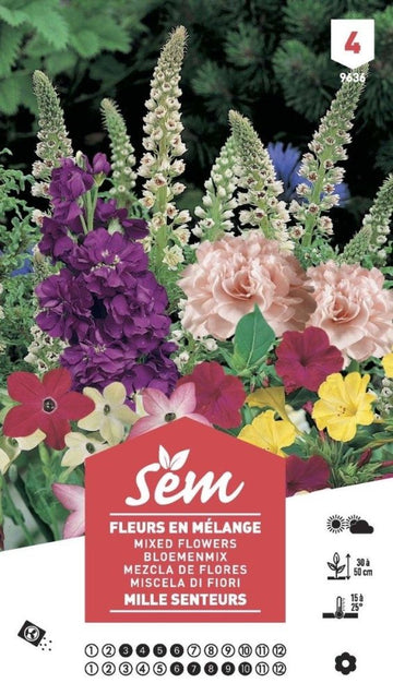 Graines de Fleurs en mélange mille senteurs XXL - FLEURANDIE