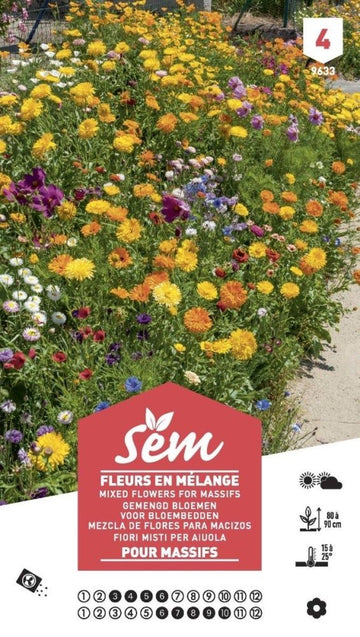 Graines de Fleurs en mélange pour massif XXL