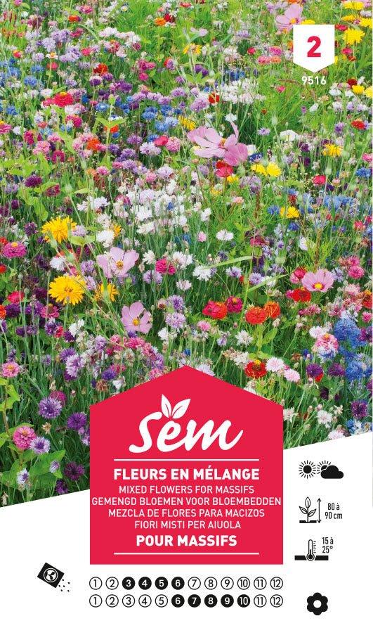 Graines de Fleurs En Mélange Pour Massifs - FLEURANDIE