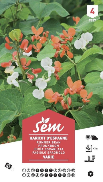 Graines de Haricot d'Espagne XXL - FLEURANDIE