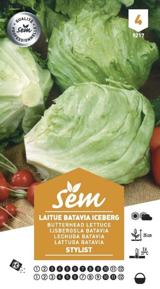 Graines de Laitue Batavia Iceberg Stylist - FLEURANDIE