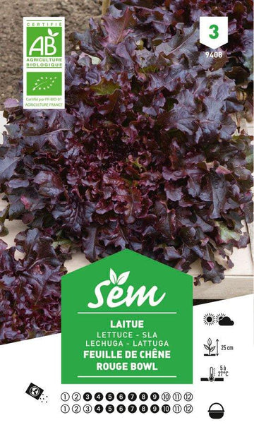 Graines de Laitue Feuille De Chêne Rouge Bowl BIO