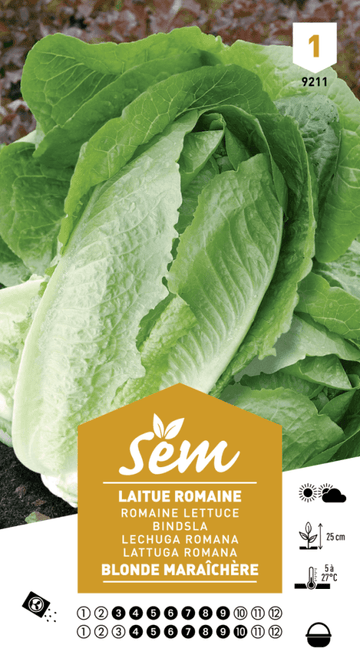 Graines de Laitue Romaine Blonde Maraîchère