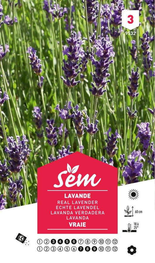 Graines De Lavande Officinale Batlle - Sachet 1g - Pour Jardin Ou Potager