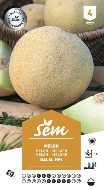 Graines de Melon Galia Hf1 - FLEURANDIE