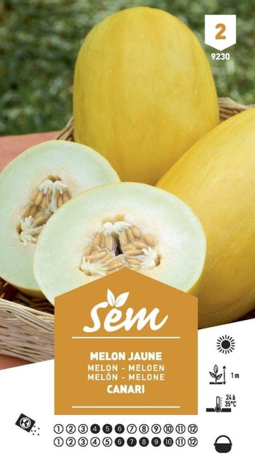 Graines de Melon Jaune Canari - FLEURANDIE