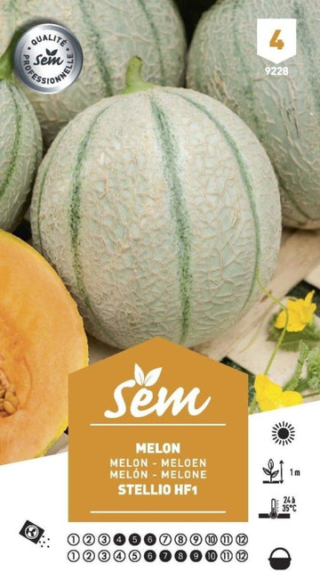 Graines de Melon Stellio Hf1 - FLEURANDIE