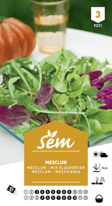 Graines de Mesclun