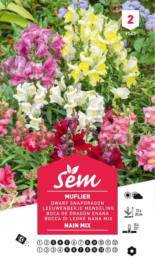 Graines de Muflier Nain Mix - FLEURANDIE