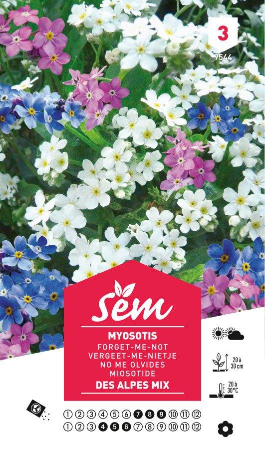 Graines de Myosotis Des Alpes Mix - FLEURANDIE