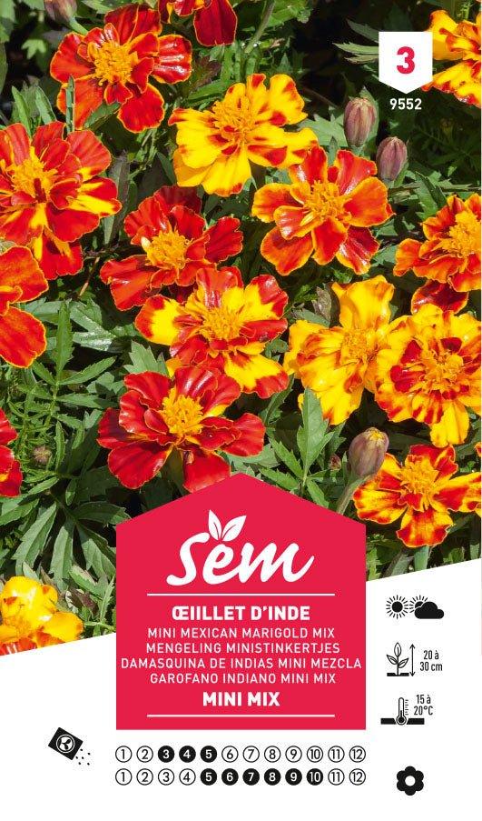 Graines de Œiillet D’Inde Mini Mix - FLEURANDIE