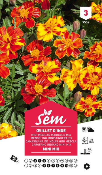 Graines de Œiillet D’Inde Mini Mix - FLEURANDIE