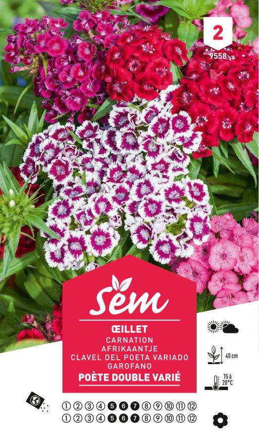 Graines de Œillet Poète Double Varié - FLEURANDIE