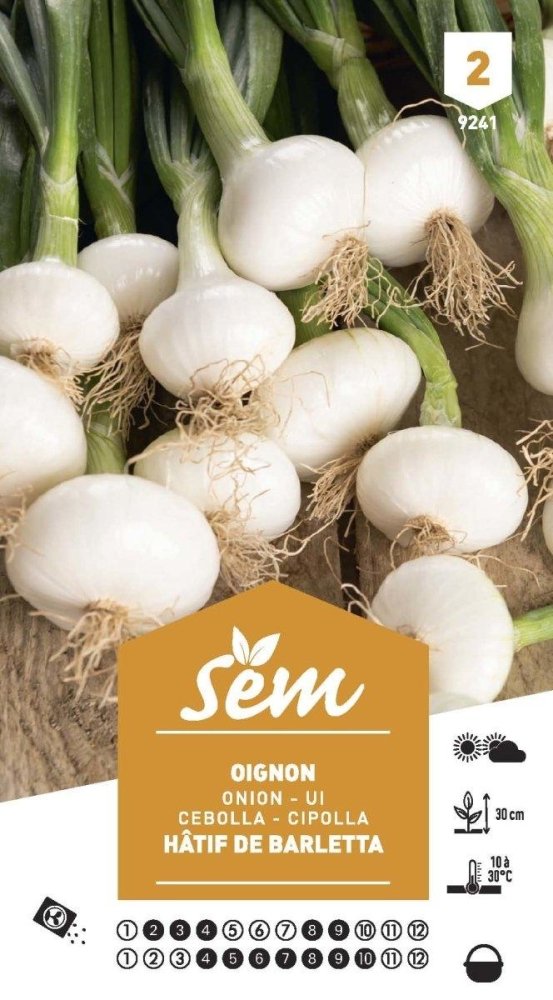 Seeds De Barletta Pickling Onion - Allium Cepa